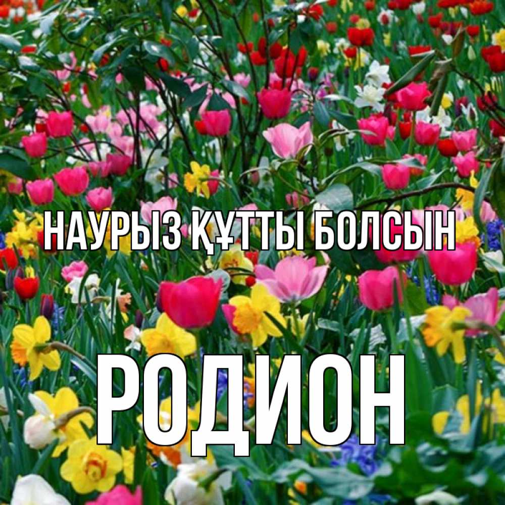Открытка на каждый день с именем, Родион Наурыз құтты болсын с наурызом поздравления для женщины Прикольная открытка с пожеланием онлайн скачать бесплатно 