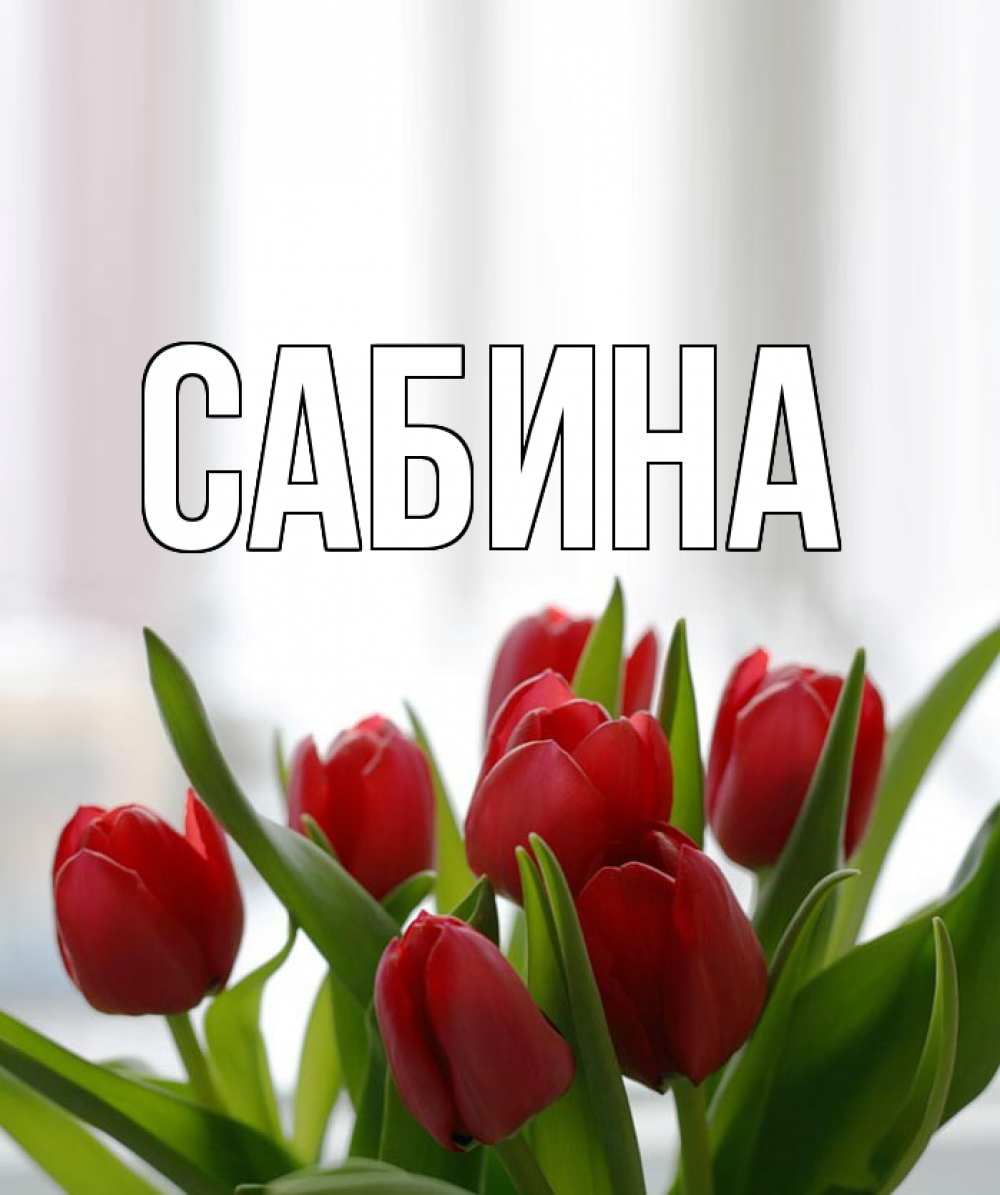 Открытка на каждый день с именем, Сабина Главная полевые цветы Прикольная открытка с пожеланием онлайн скачать бесплатно 