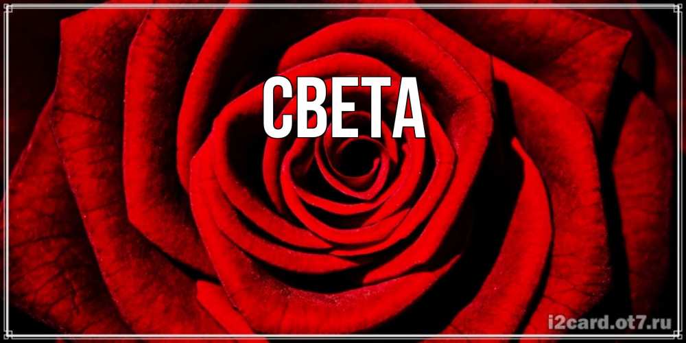 Открытка на каждый день с именем, Света Главная алая роза Прикольная открытка с пожеланием онлайн скачать бесплатно 