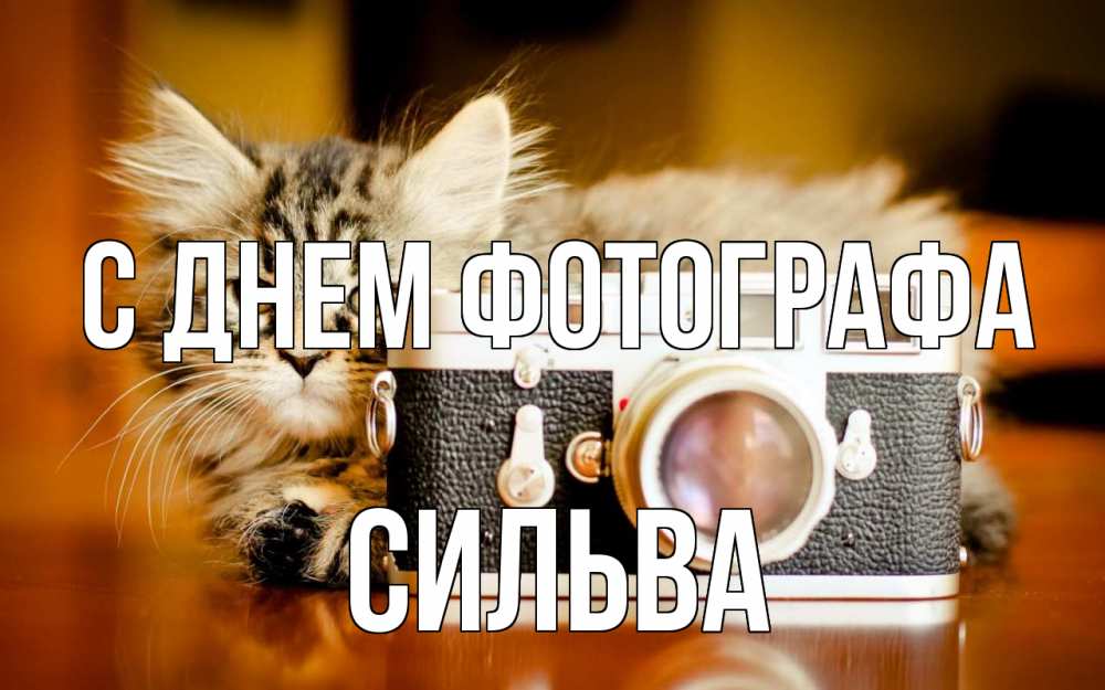 Открытка на каждый день с именем, Сильва С днем фотографа с днем фотографа Прикольная открытка с пожеланием онлайн скачать бесплатно 