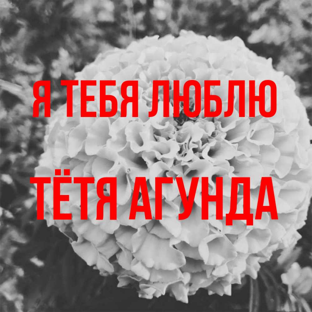 Открытка на каждый день с именем, Тётя-Агунда Я тебя люблю подпись Прикольная открытка с пожеланием онлайн скачать бесплатно 