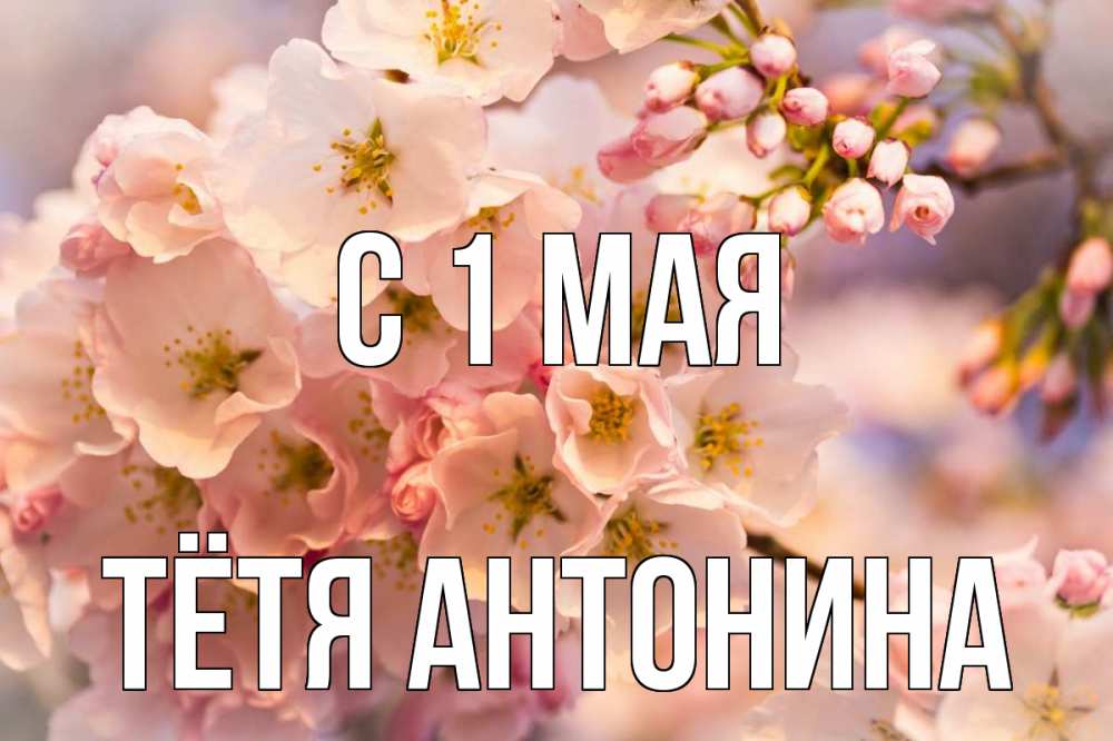 Открытка на каждый день с именем, Тётя-Антонина С 1 мая С 1 мая Прикольная открытка с пожеланием онлайн скачать бесплатно 