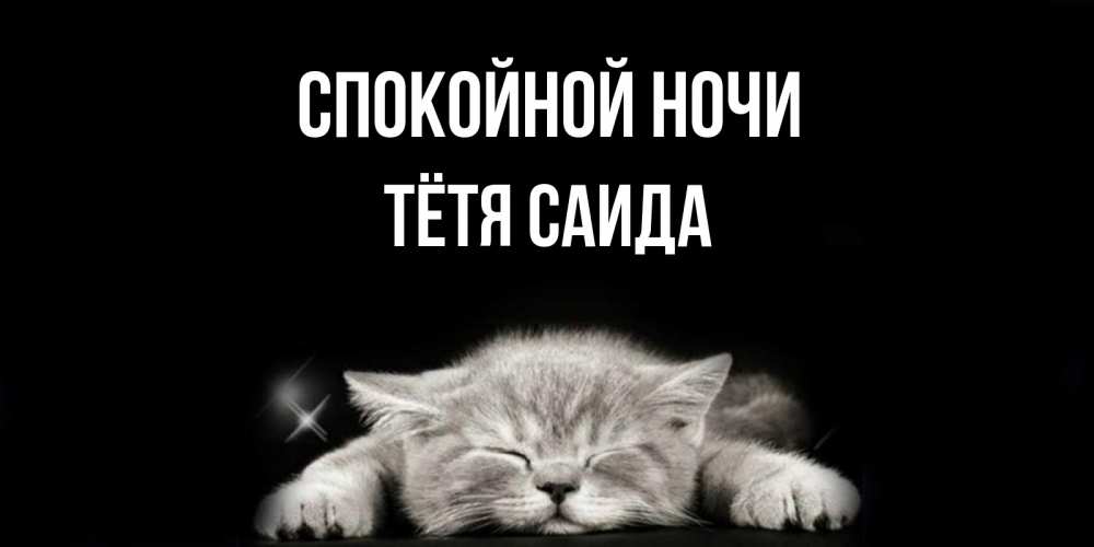 Открытка на каждый день с именем, Тётя-Саида Спокойной ночи спящий котик Прикольная открытка с пожеланием онлайн скачать бесплатно 