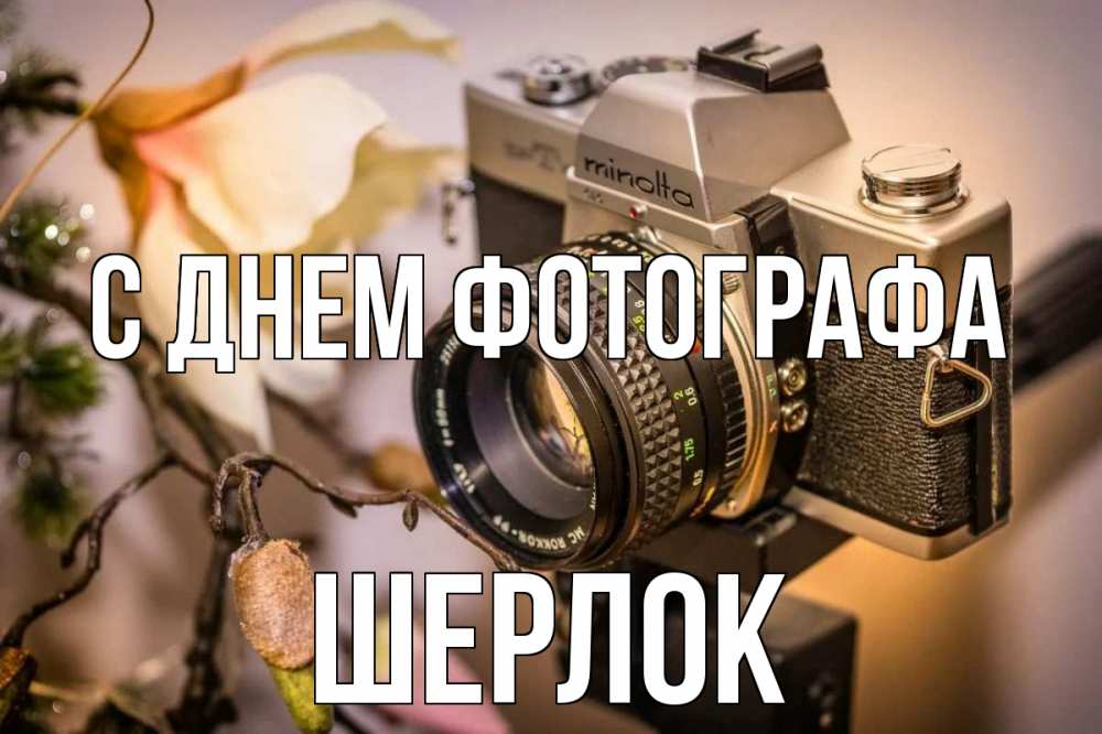 Открытка на каждый день с именем, Шерлок С днем фотографа с днем фотографа 1 Прикольная открытка с пожеланием онлайн скачать бесплатно 