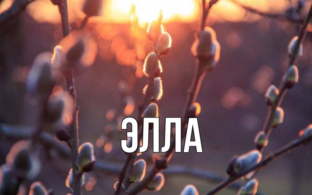 Открытка на каждый день с именем, Элла Главная верба Прикольная открытка с пожеланием онлайн скачать бесплатно 