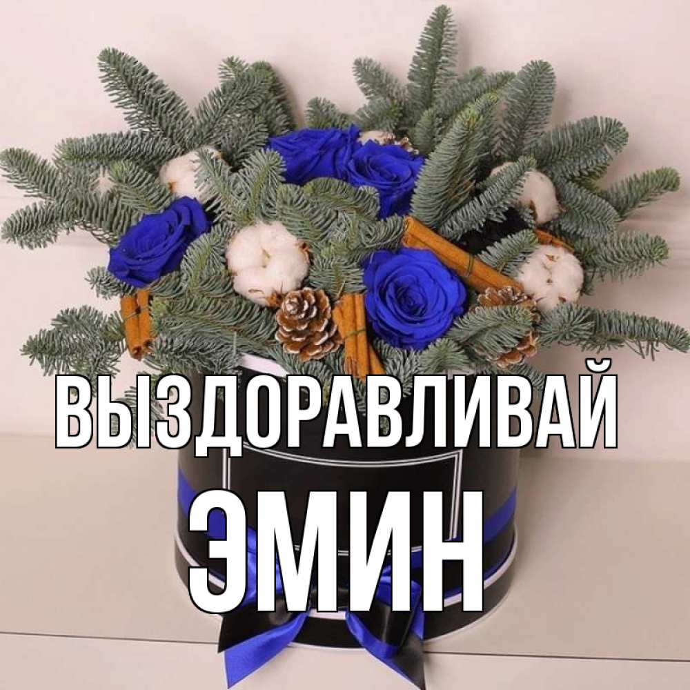 Открытка на каждый день с именем, Эмин Выздоравливай короче кто то загрузил эти шишки Прикольная открытка с пожеланием онлайн скачать бесплатно 