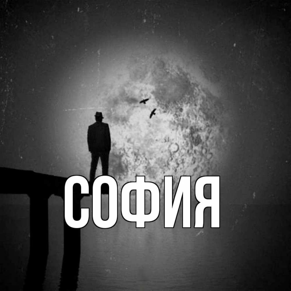 Открытка на каждый день с именем, София Главная мужчина на мосту Прикольная открытка с пожеланием онлайн скачать бесплатно 