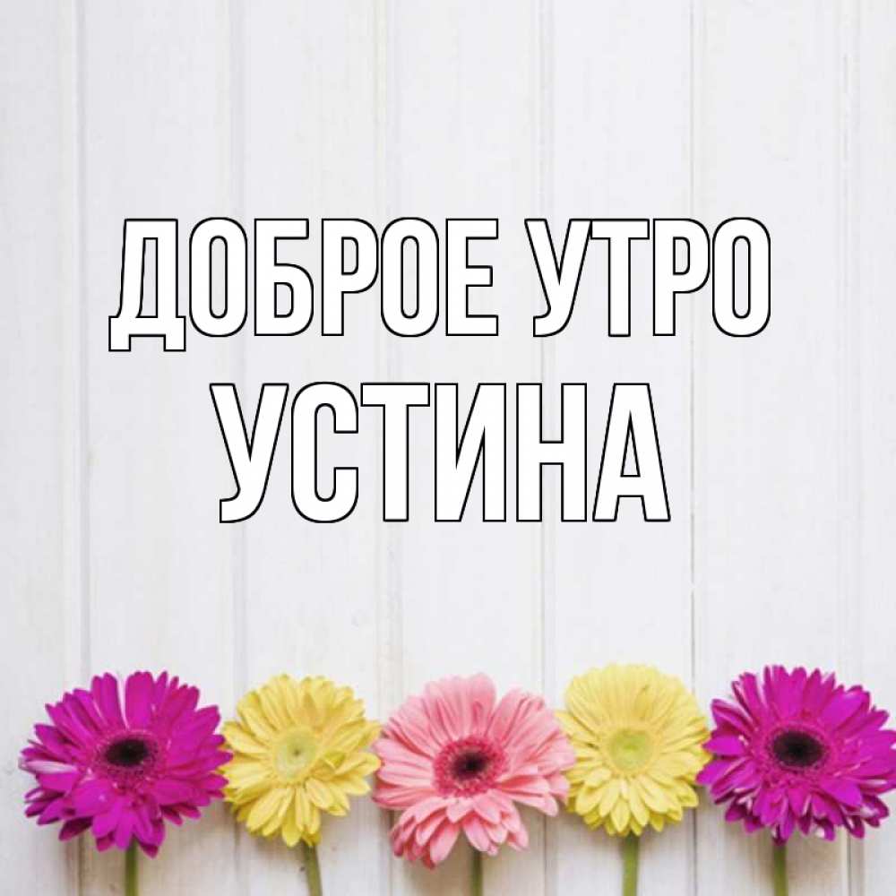 Открытка на каждый день с именем, Устина Доброе утро красный желтый и розовый цветок Прикольная открытка с пожеланием онлайн скачать бесплатно 