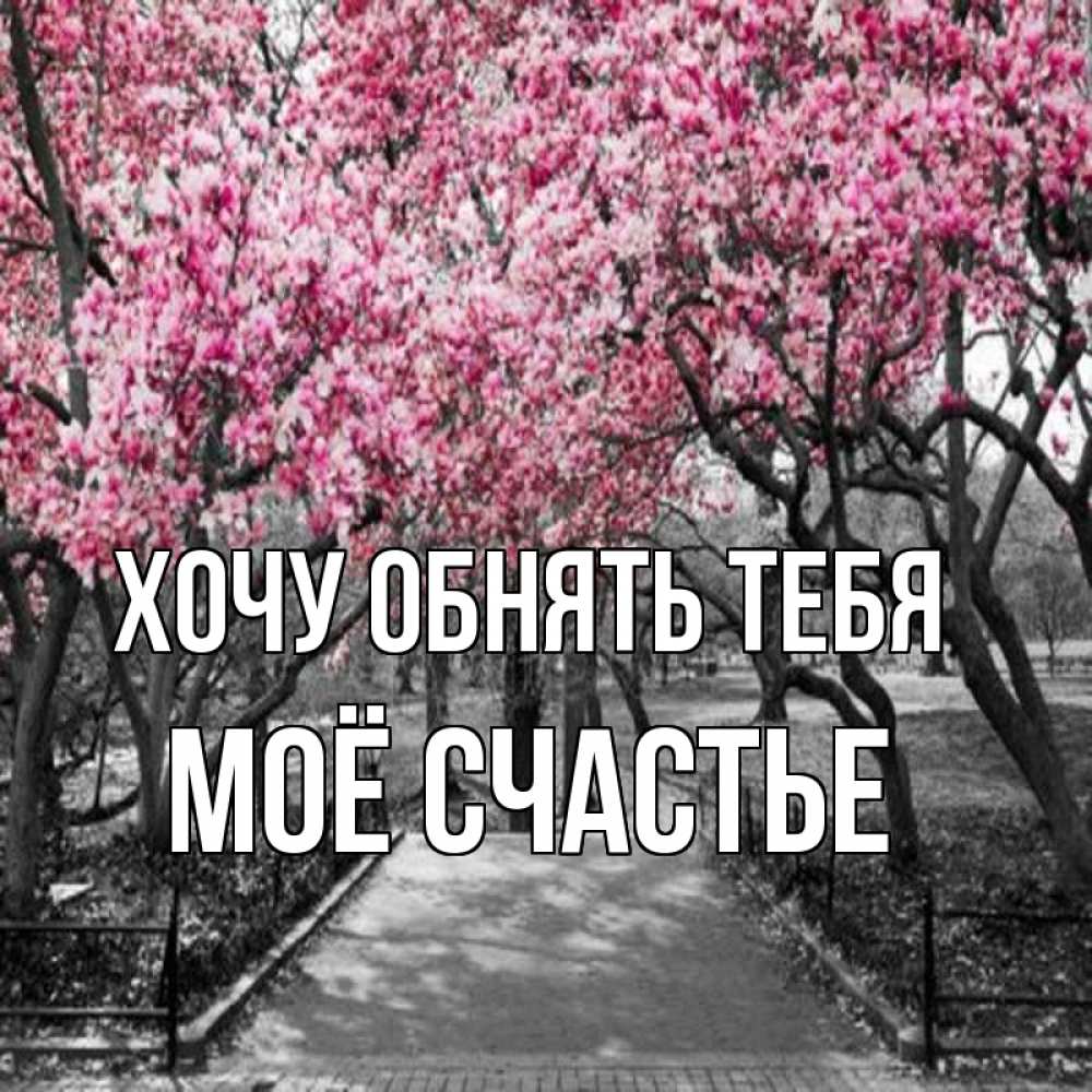 Картинка Хочу обнять тебя, Моё счастье