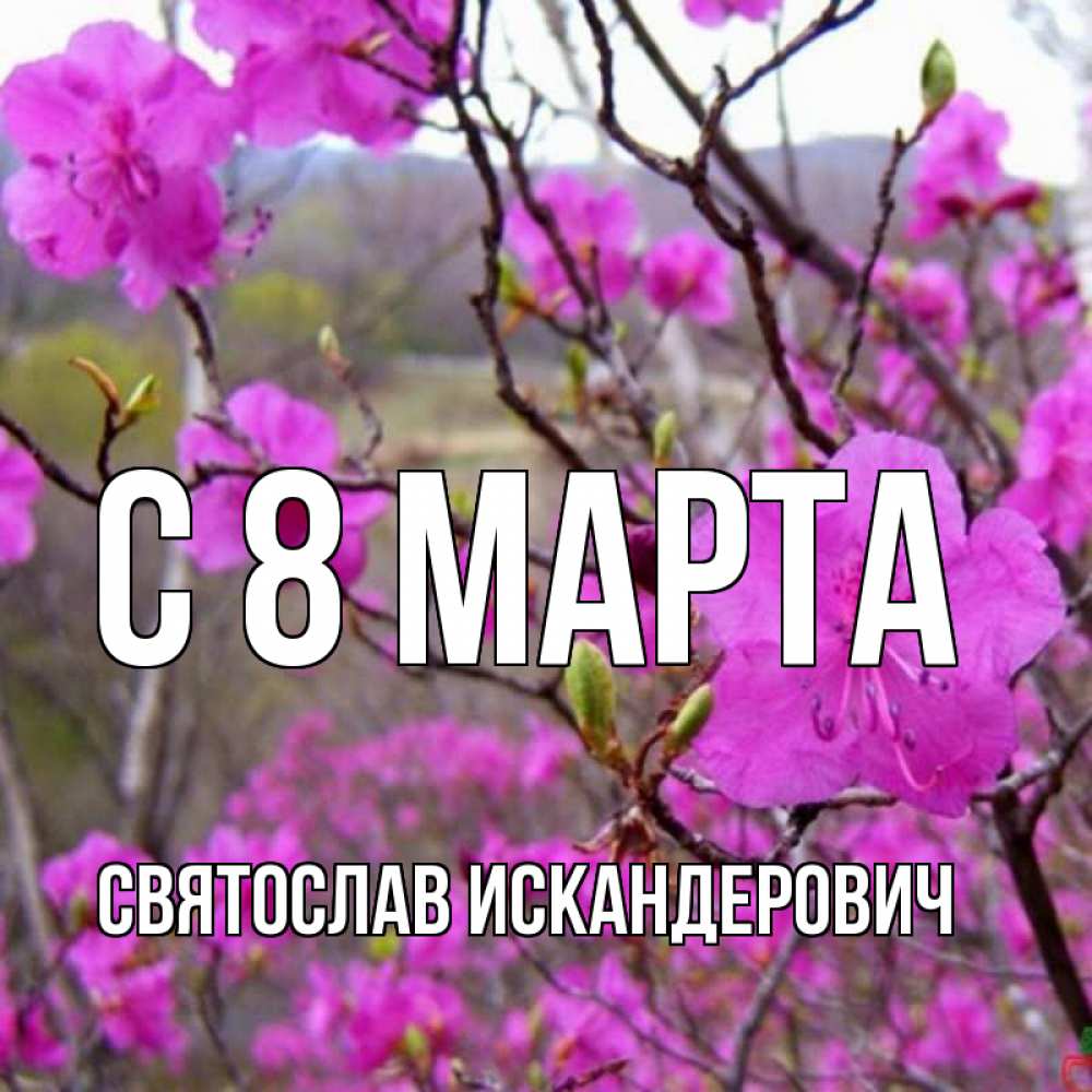 Открытка с именем, Святослав Искандерович, С 8 МАРТА