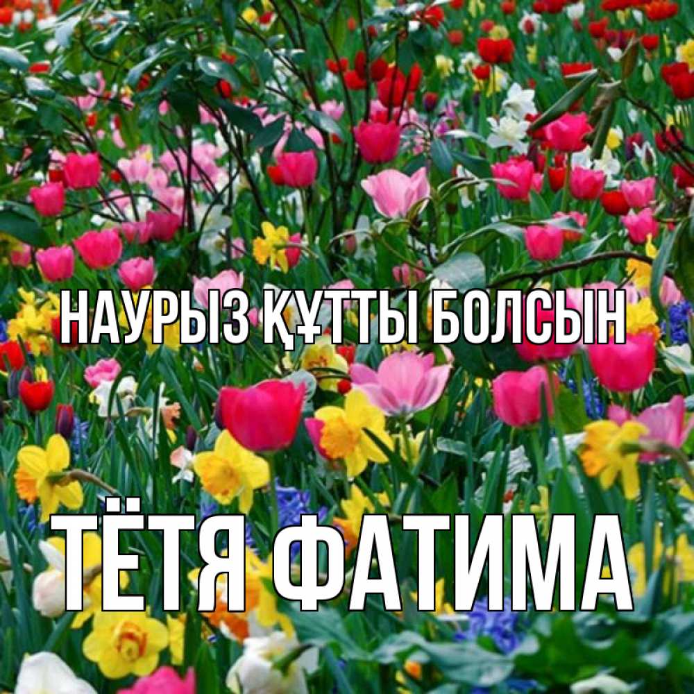 Открытка на каждый день с именем, Тётя-Фатима Наурыз құтты болсын с наурызом поздравления для женщины Прикольная открытка с пожеланием онлайн скачать бесплатно 