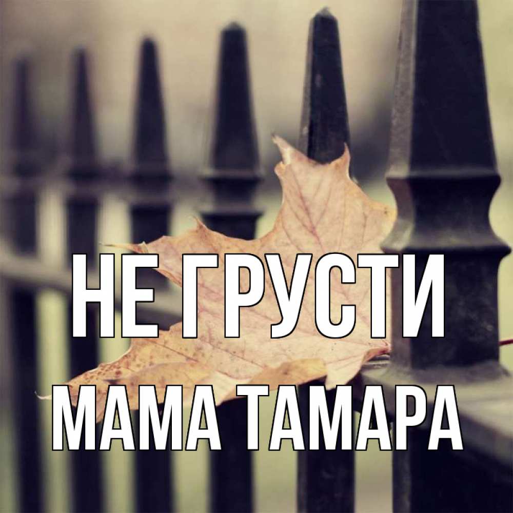 Открытка на каждый день с именем, Мама-Тамара Не грусти лист клена Прикольная открытка с пожеланием онлайн скачать бесплатно 