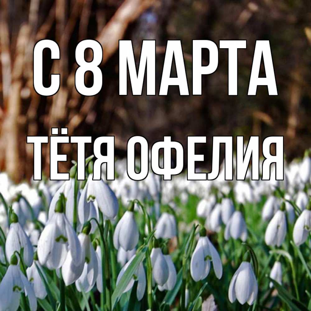 Открытка на каждый день с именем, Тётя-Офелия С 8 марта с подснежниками 1 Прикольная открытка с пожеланием онлайн скачать бесплатно 