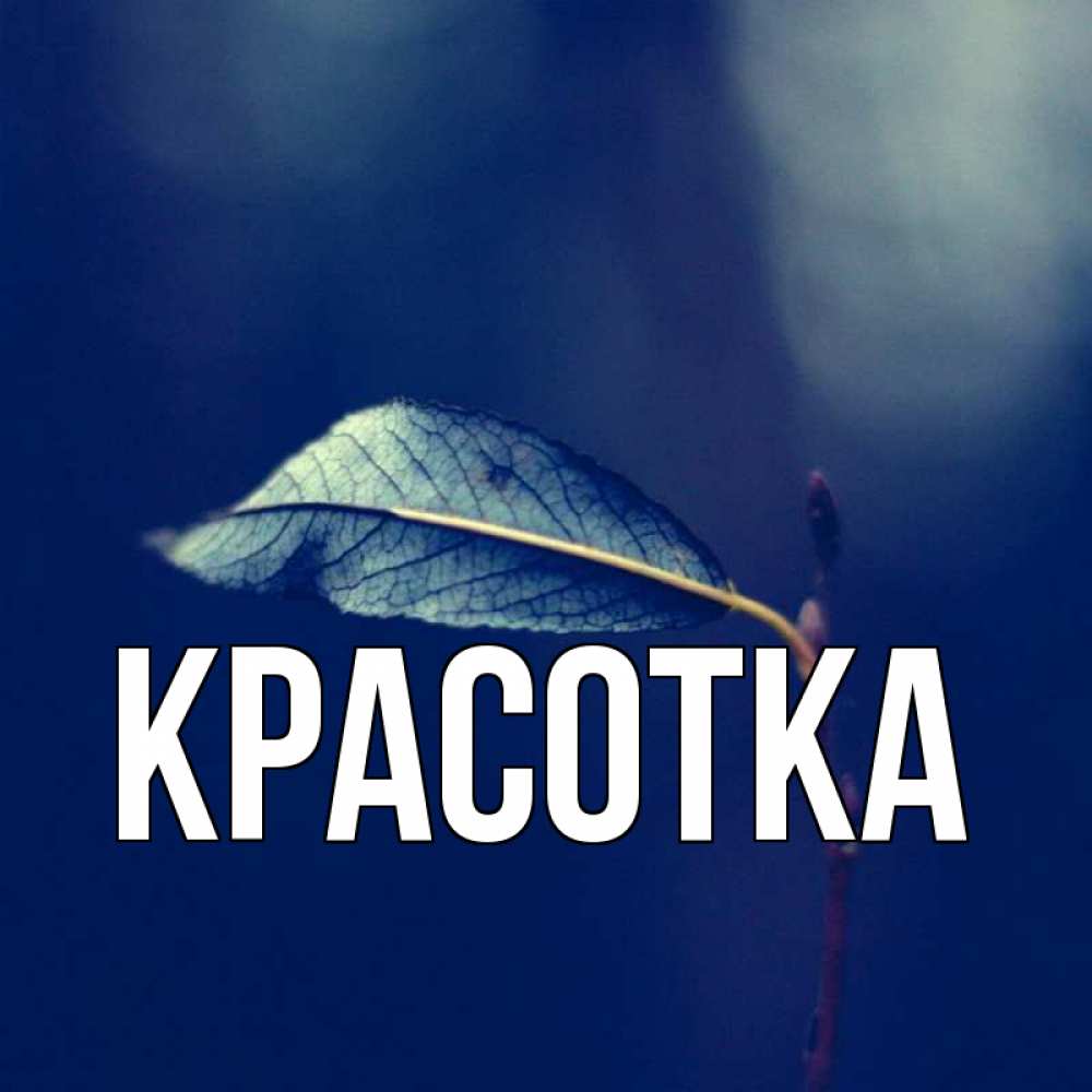 Открытка на каждый день с именем, красотка Главная одна ветка 1 Прикольная открытка с пожеланием онлайн скачать бесплатно 