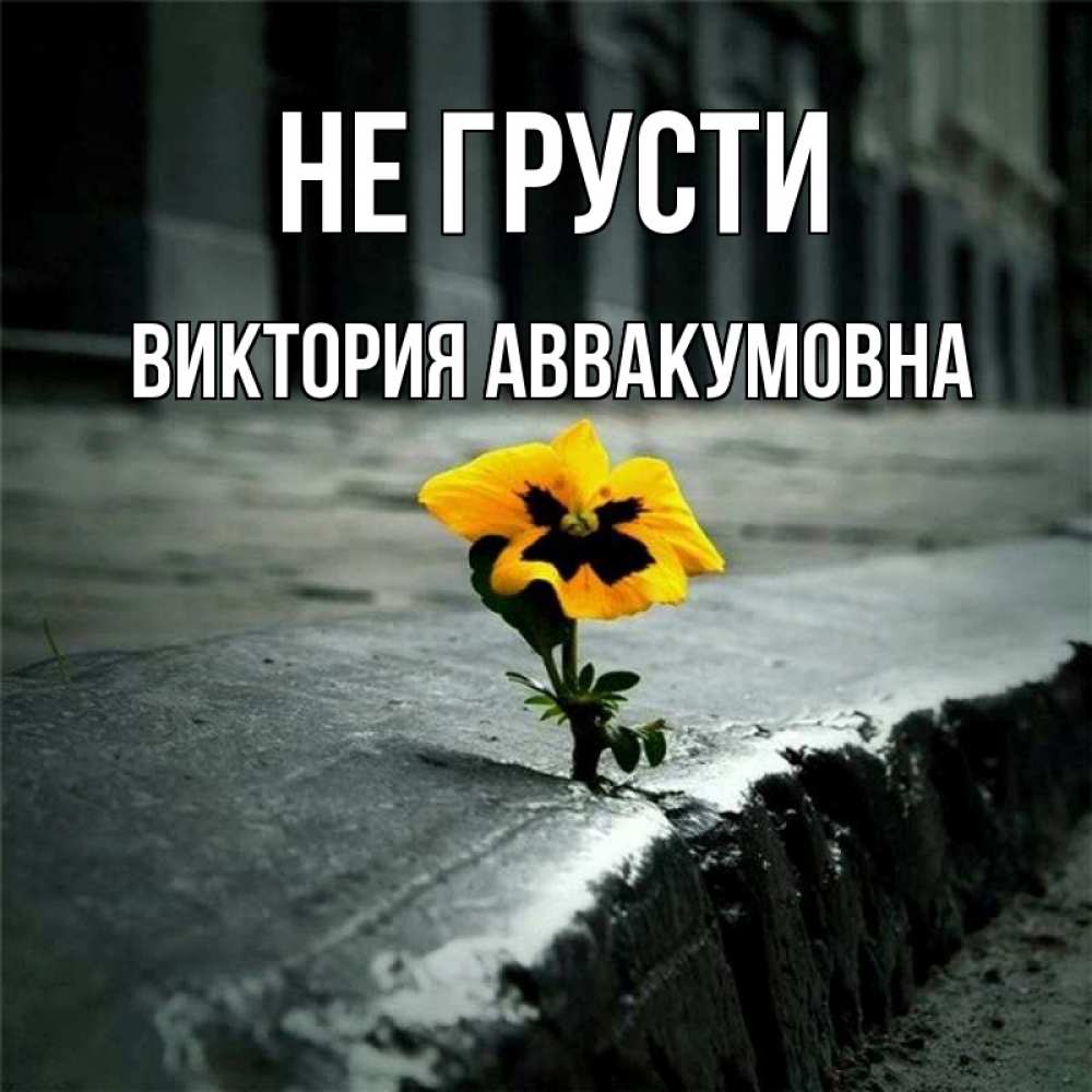 Картинка Не грусти, Виктория Аввакумовна