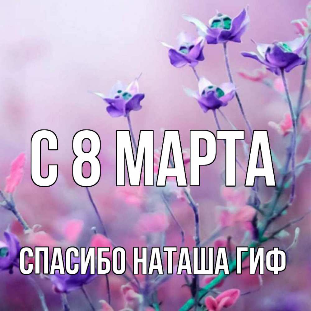 Картинка С 8 МАРТА, СПАСИБО НАТАША ГИФ
