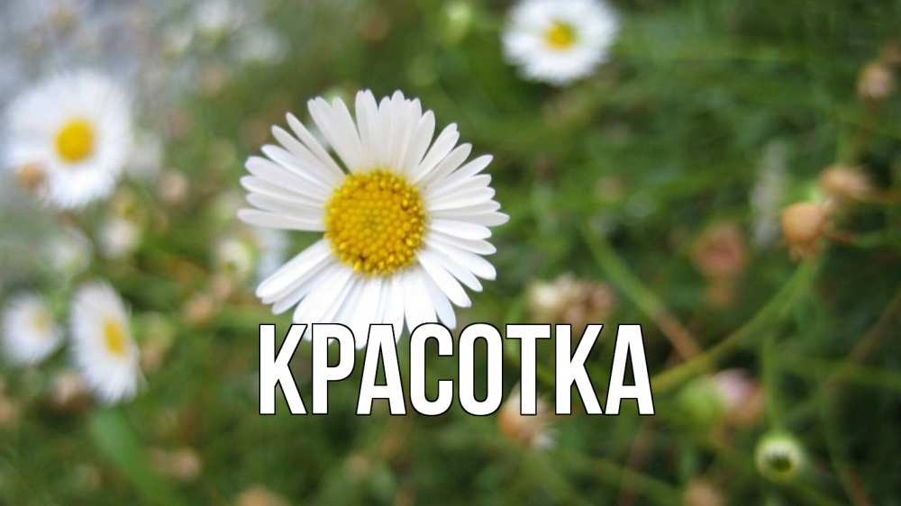 Картинка  с именем , красотка