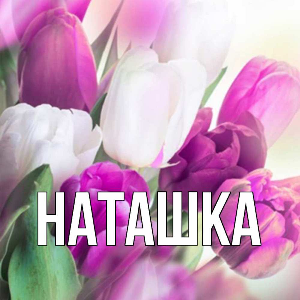 Привет наташка картинки