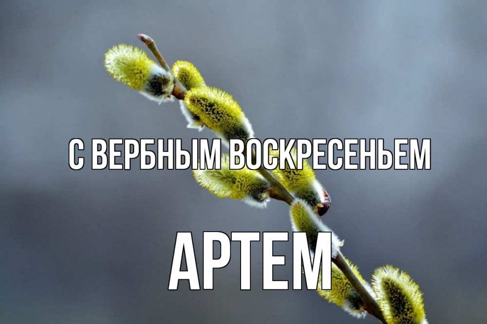 Открытка на каждый день с именем, Артем С вербным воскресеньем верба Прикольная открытка с пожеланием онлайн скачать бесплатно 