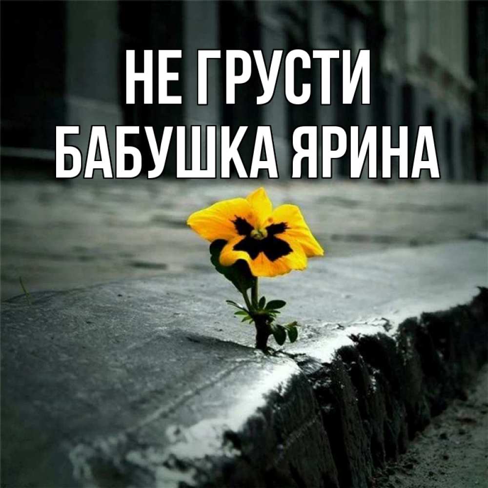 Открытка на каждый день с именем, Бабушка-Ярина Не грусти не сдавайся Прикольная открытка с пожеланием онлайн скачать бесплатно 