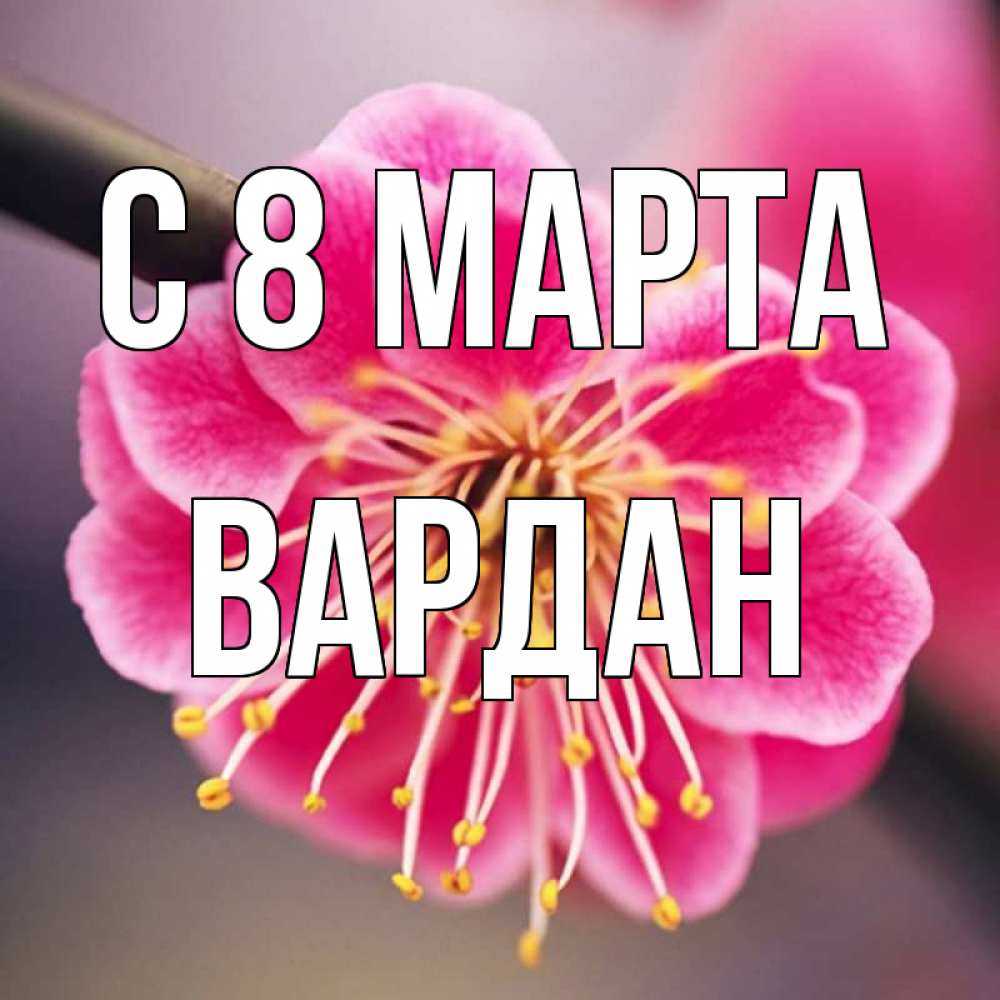 Открытка на каждый день с именем, Вардан С 8 МАРТА цветы Прикольная открытка с пожеланием онлайн скачать бесплатно 