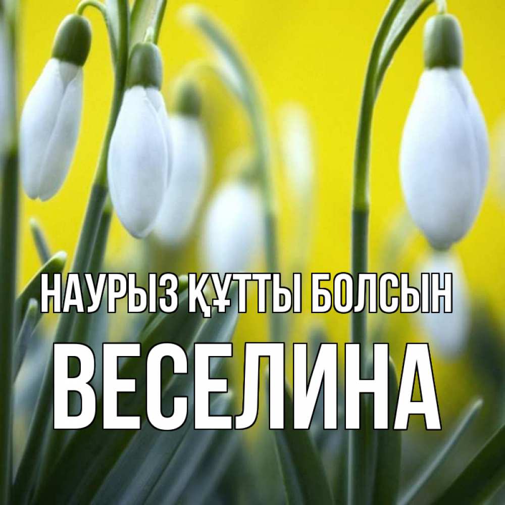 Открытка на каждый день с именем, Веселина Наурыз құтты болсын весенние цветы Прикольная открытка с пожеланием онлайн скачать бесплатно 