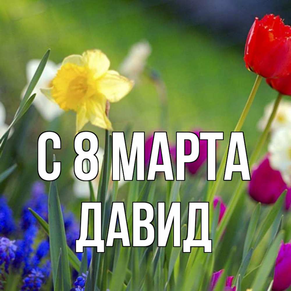 Открытка на каждый день с именем, Давид С 8 МАРТА международный женский день 3 Прикольная открытка с пожеланием онлайн скачать бесплатно 
