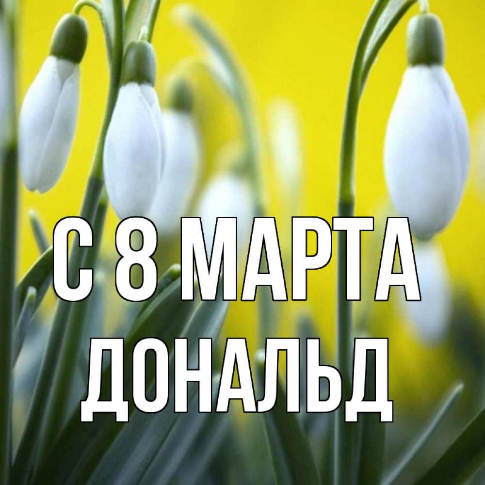 Открытка на каждый день с именем, Дональд С 8 МАРТА весенние цветы Прикольная открытка с пожеланием онлайн скачать бесплатно 