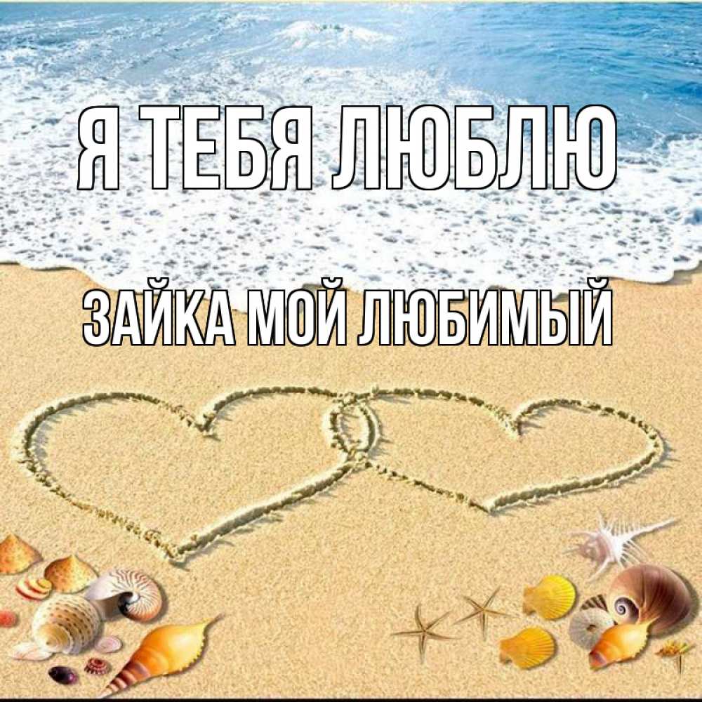 Открытка на каждый день с именем, Зайка-Мой-Любимый Я тебя люблю ракушки Прикольная открытка с пожеланием онлайн скачать бесплатно 