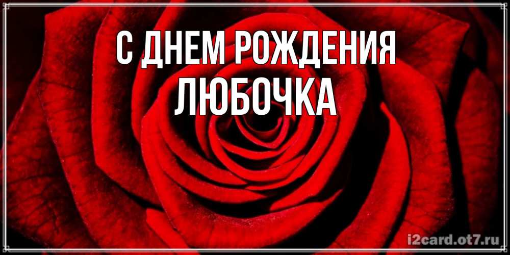 Открытка на каждый день с именем, ЛЮБОЧКА С днем рождения алая роза Прикольная открытка с пожеланием онлайн скачать бесплатно 