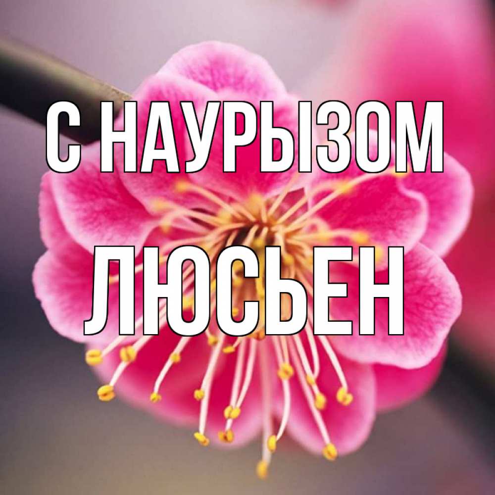 Открытка на каждый день с именем, Люсьен С наурызом цветы Прикольная открытка с пожеланием онлайн скачать бесплатно 