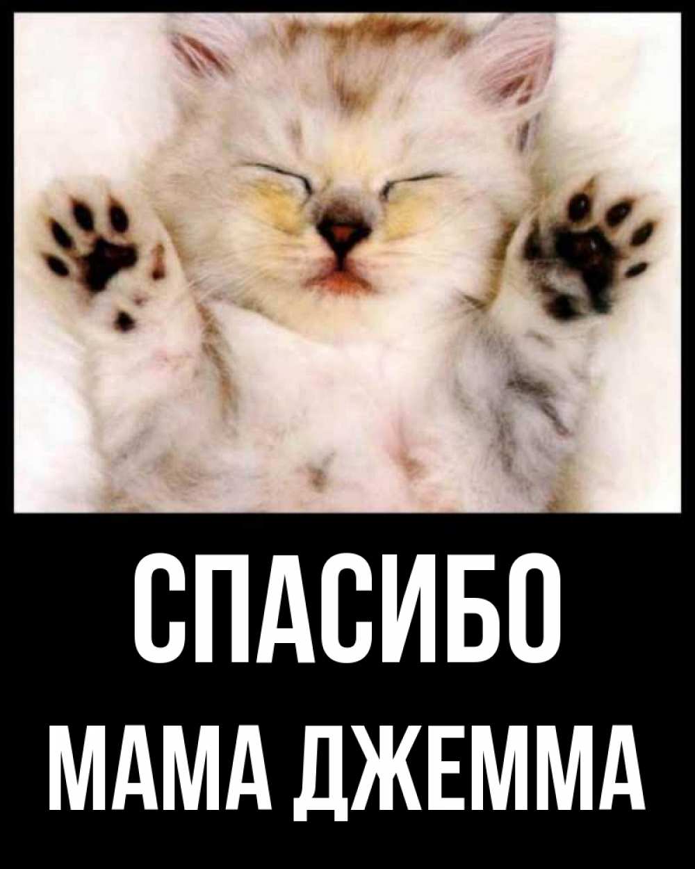 Открытка на каждый день с именем, Мама-Джемма Спасибо маленький котенок Прикольная открытка с пожеланием онлайн скачать бесплатно 