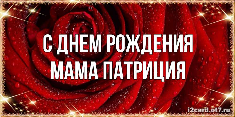 Открытка на каждый день с именем, Мама-Патриция С днем рождения роса на розе блестящая в лучах солнца Прикольная открытка с пожеланием онлайн скачать бесплатно 