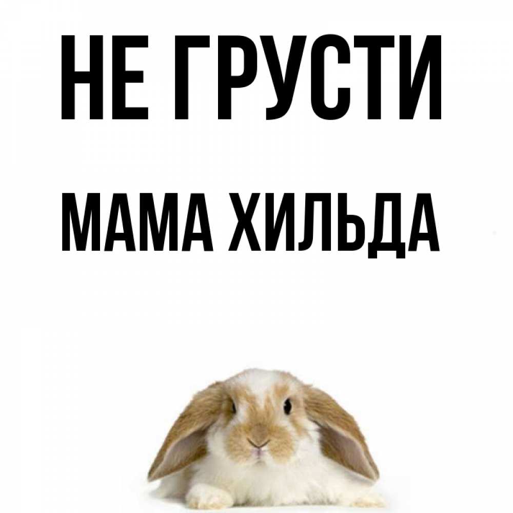 Открытка на каждый день с именем, Мама-Хильда Не грусти коричнево белый заяц с большими ушками Прикольная открытка с пожеланием онлайн скачать бесплатно 