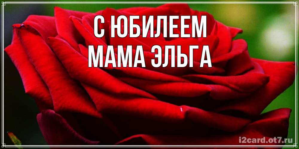 Открытка на каждый день с именем, Мама-Эльга С юбилеем розочка очень красивая Прикольная открытка с пожеланием онлайн скачать бесплатно 