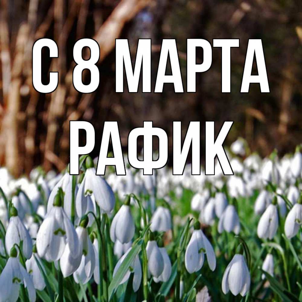 Открытка на каждый день с именем, Рафик С 8 МАРТА с подснежниками 1 Прикольная открытка с пожеланием онлайн скачать бесплатно 