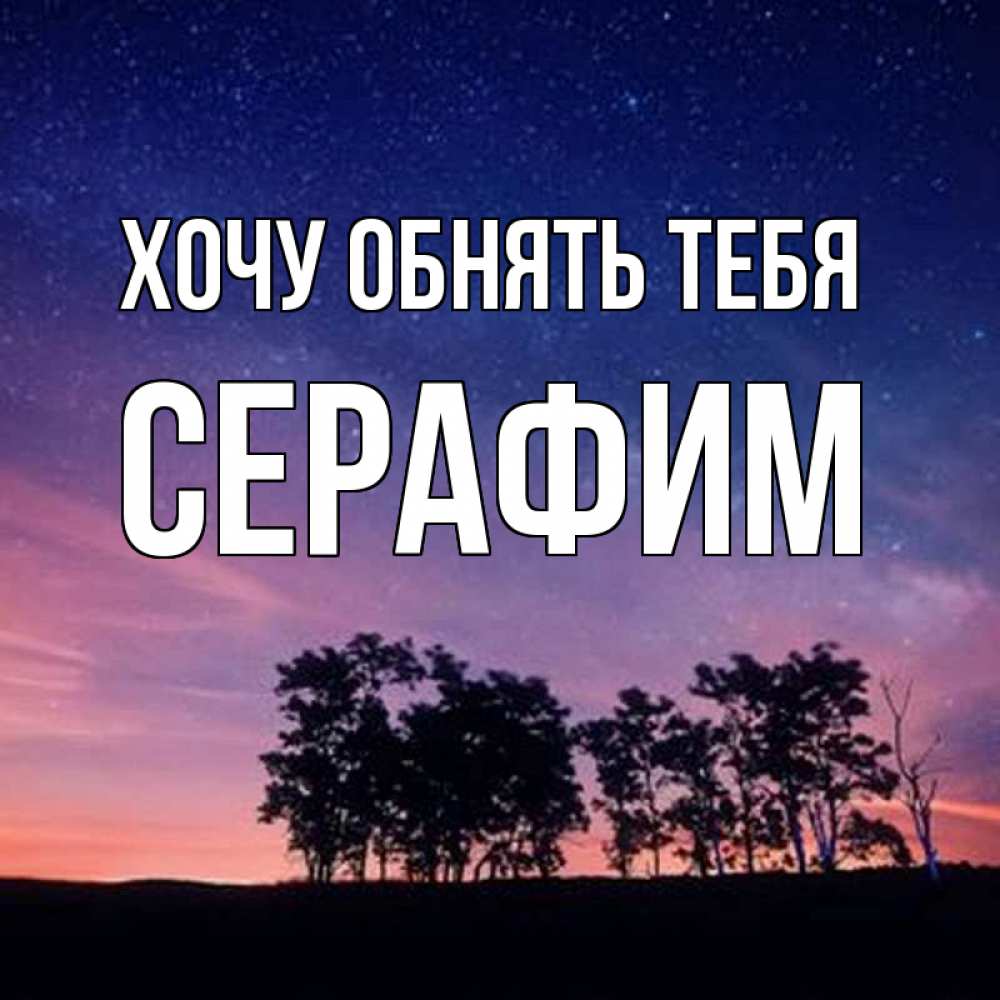 Открытка на каждый день с именем, Серафим Хочу обнять тебя силуэты деревьев Прикольная открытка с пожеланием онлайн скачать бесплатно 