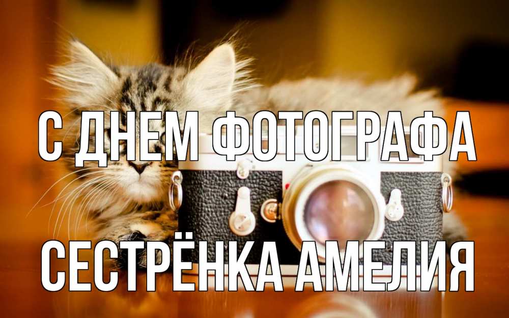 Открытка на каждый день с именем, Сестрёнка-Амелия С днем фотографа с днем фотографа Прикольная открытка с пожеланием онлайн скачать бесплатно 