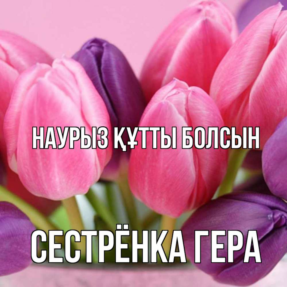 Открытка на каждый день с именем, Сестрёнка-Гера Наурыз құтты болсын маме 1 Прикольная открытка с пожеланием онлайн скачать бесплатно 