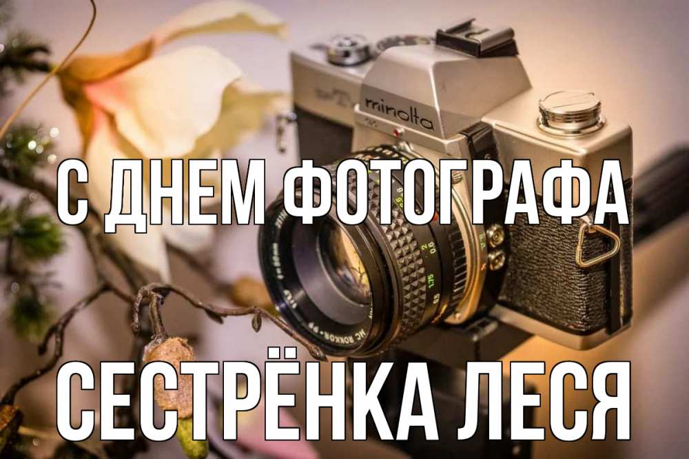 Открытка на каждый день с именем, Сестрёнка-Леся С днем фотографа с днем фотографа 1 Прикольная открытка с пожеланием онлайн скачать бесплатно 