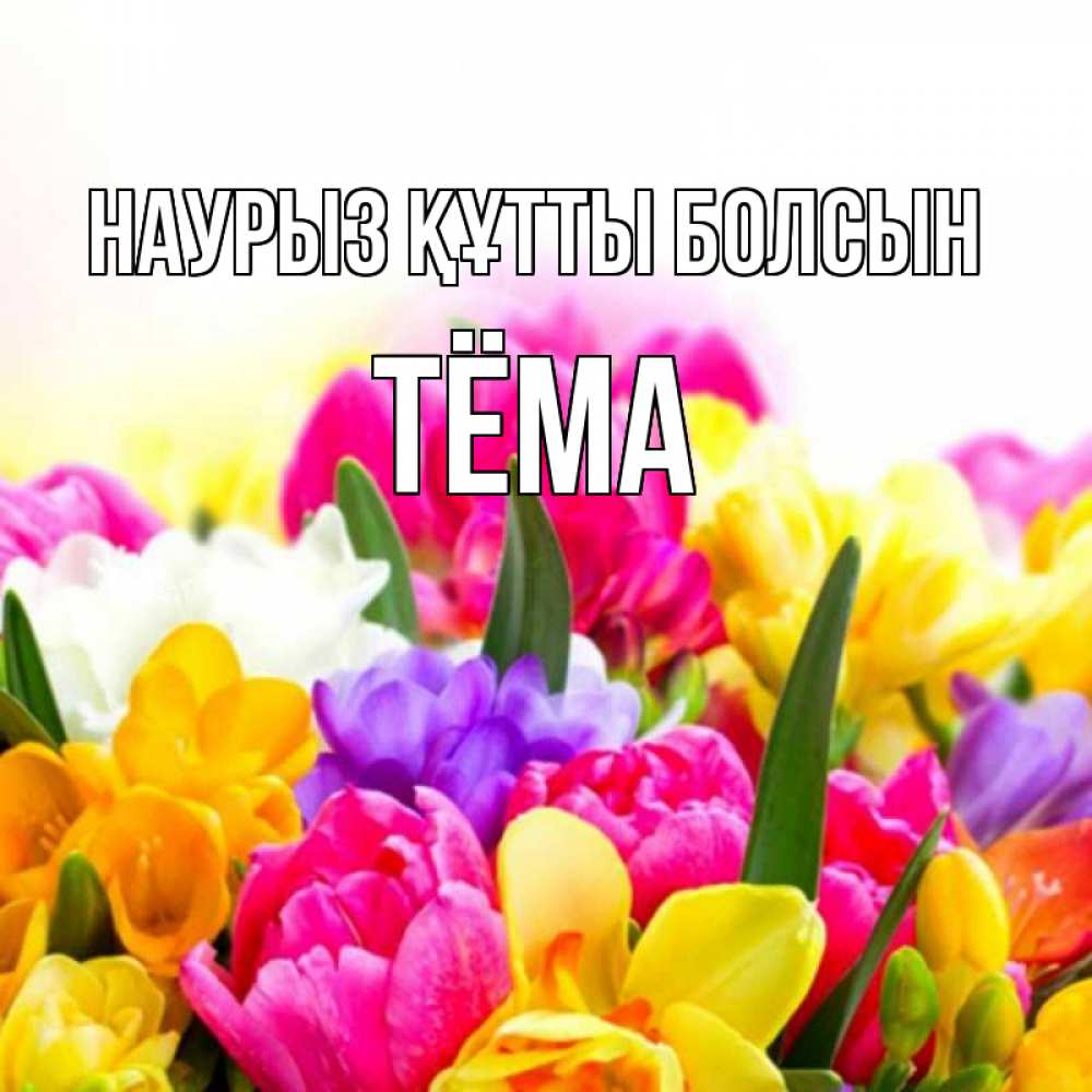 Открытка на каждый день с именем, Тёма Наурыз құтты болсын тюльпаны Прикольная открытка с пожеланием онлайн скачать бесплатно 