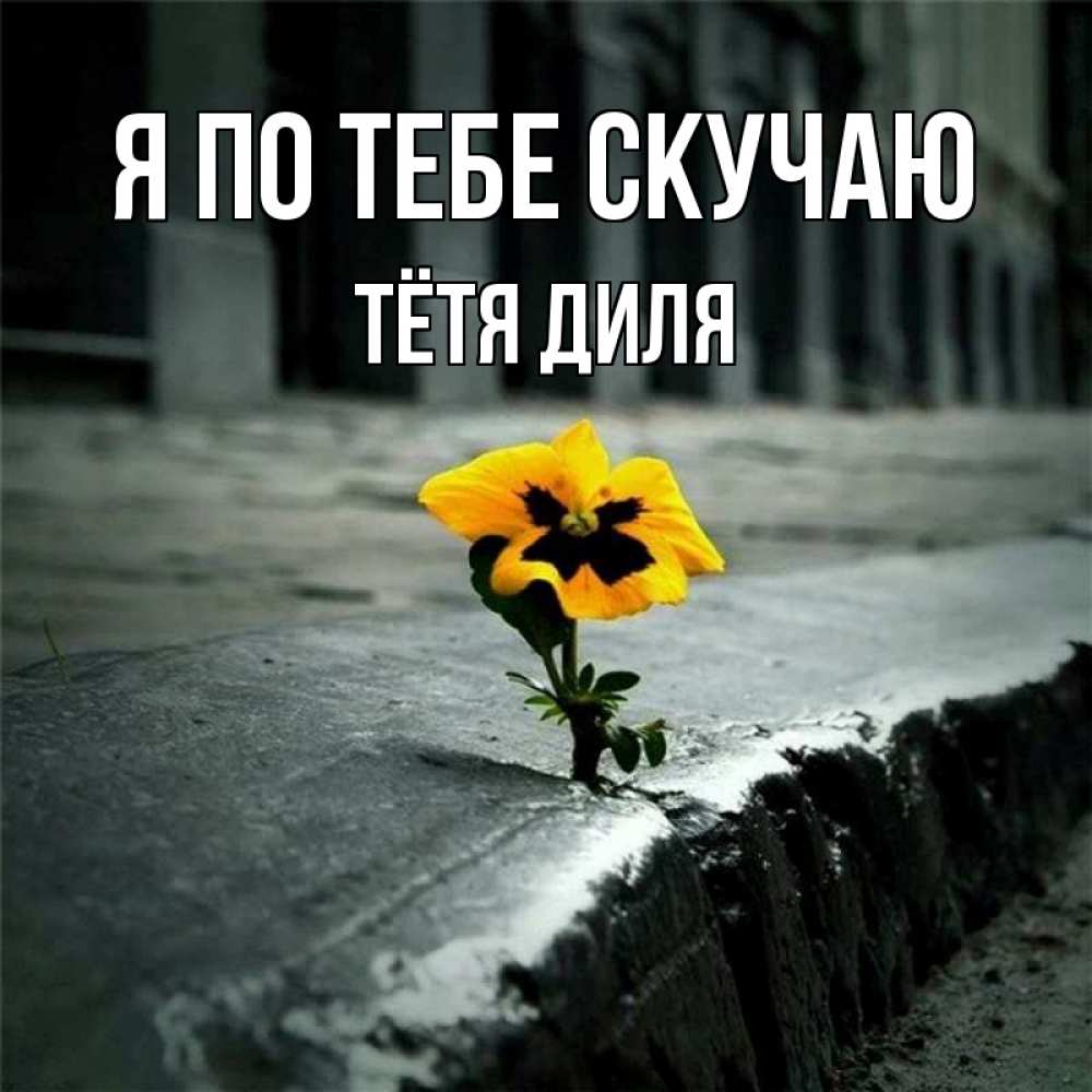 Открытка на каждый день с именем, Тётя-Диля Я по тебе скучаю надеюсь будет лучше Прикольная открытка с пожеланием онлайн скачать бесплатно 