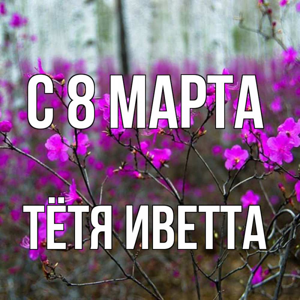 Открытка на каждый день с именем, Тётя-Иветта С 8 марта дикие цветы Прикольная открытка с пожеланием онлайн скачать бесплатно 