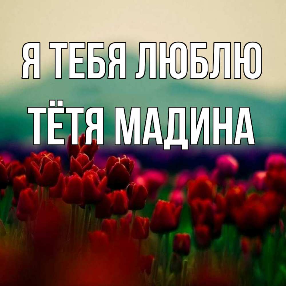 Открытка на каждый день с именем, Тётя-Мадина Я тебя люблю тюльпаны 4 Прикольная открытка с пожеланием онлайн скачать бесплатно 