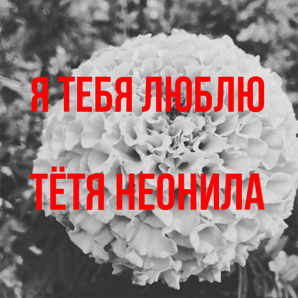 Открытка на каждый день с именем, Тётя-Неонила Я тебя люблю подпись Прикольная открытка с пожеланием онлайн скачать бесплатно 