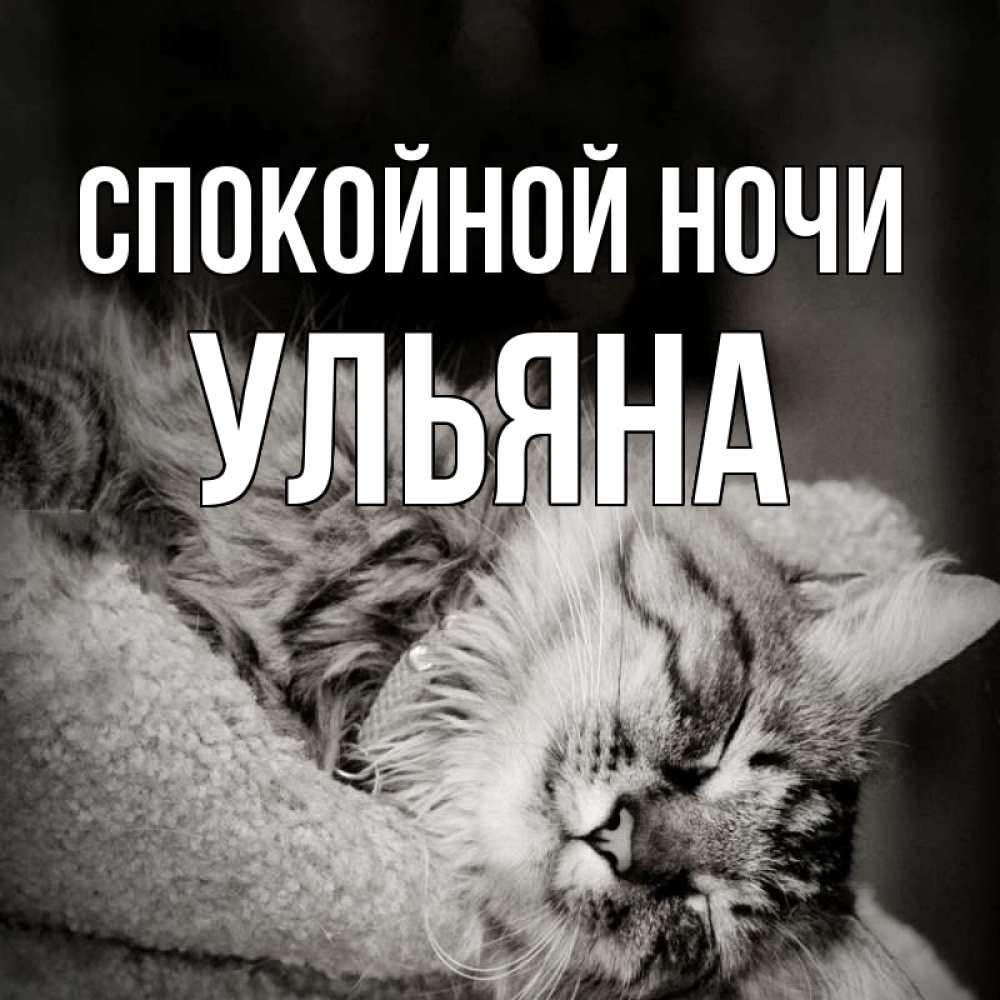 Открытка на каждый день с именем, Ульяна Спокойной ночи котярик пушистый Прикольная открытка с пожеланием онлайн скачать бесплатно 