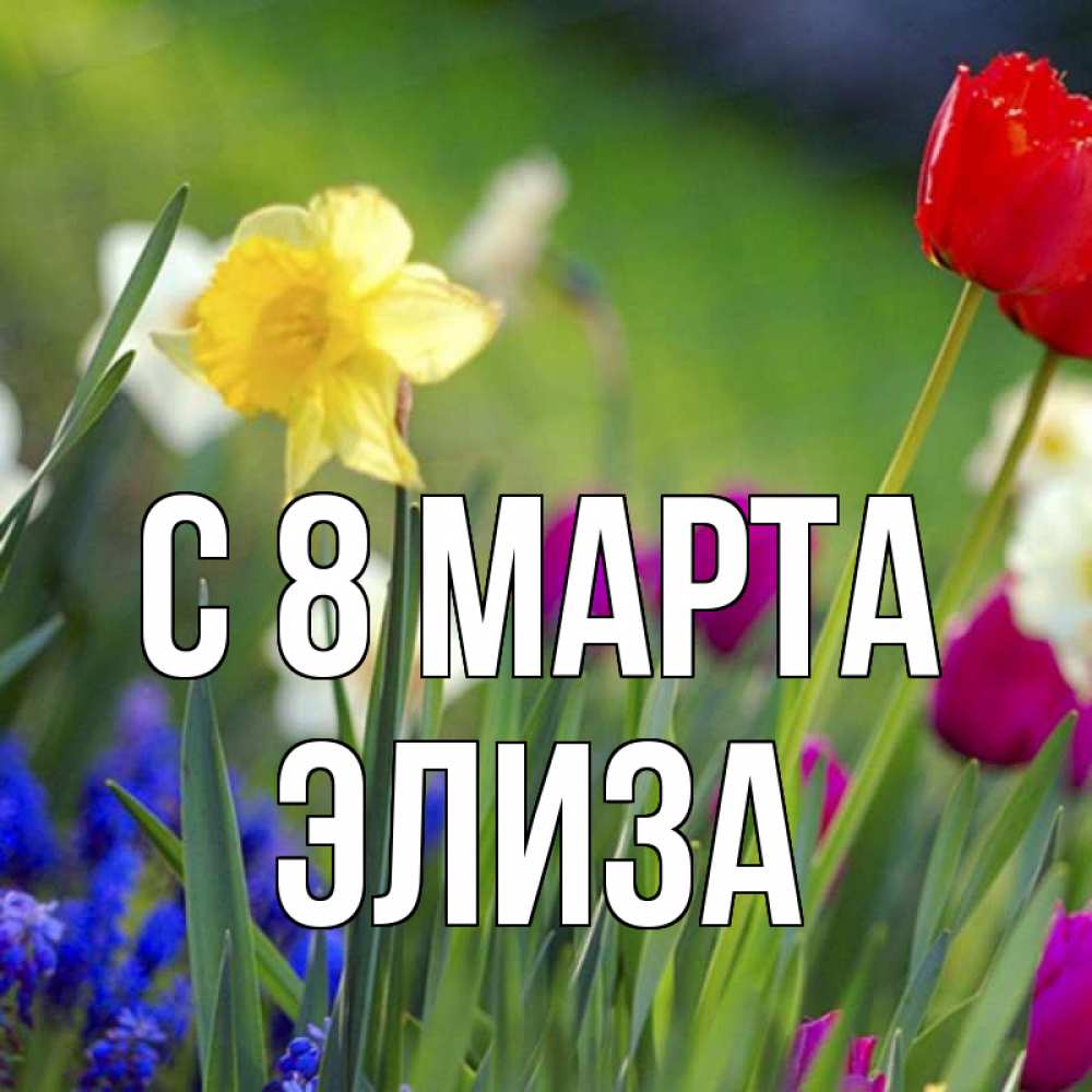 Открытка на каждый день с именем, Элиза С 8 МАРТА международный женский день 3 Прикольная открытка с пожеланием онлайн скачать бесплатно 
