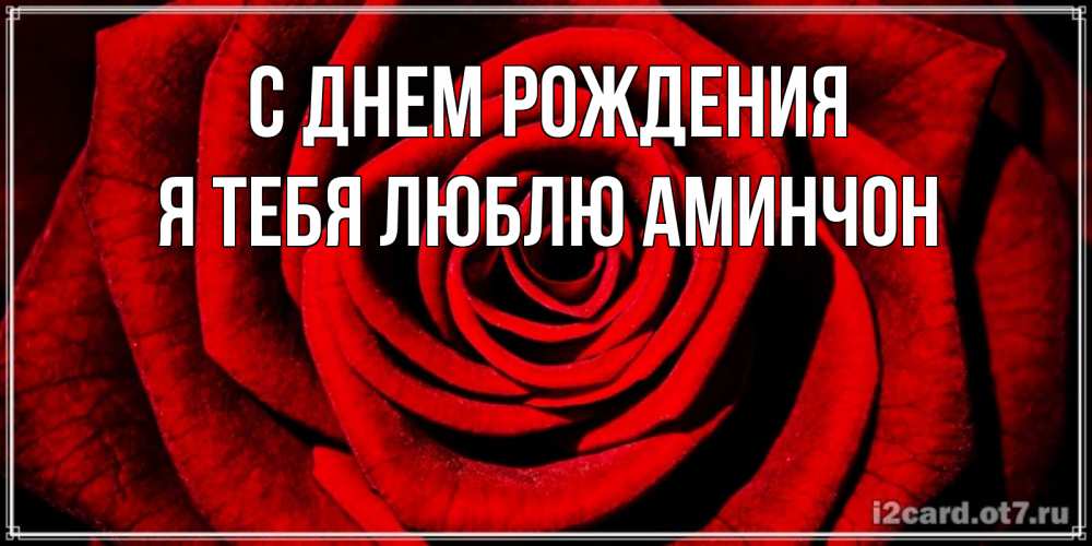 Открытка на каждый день с именем, Я-тебя-люблю-Аминчон С днем рождения алая роза Прикольная открытка с пожеланием онлайн скачать бесплатно 