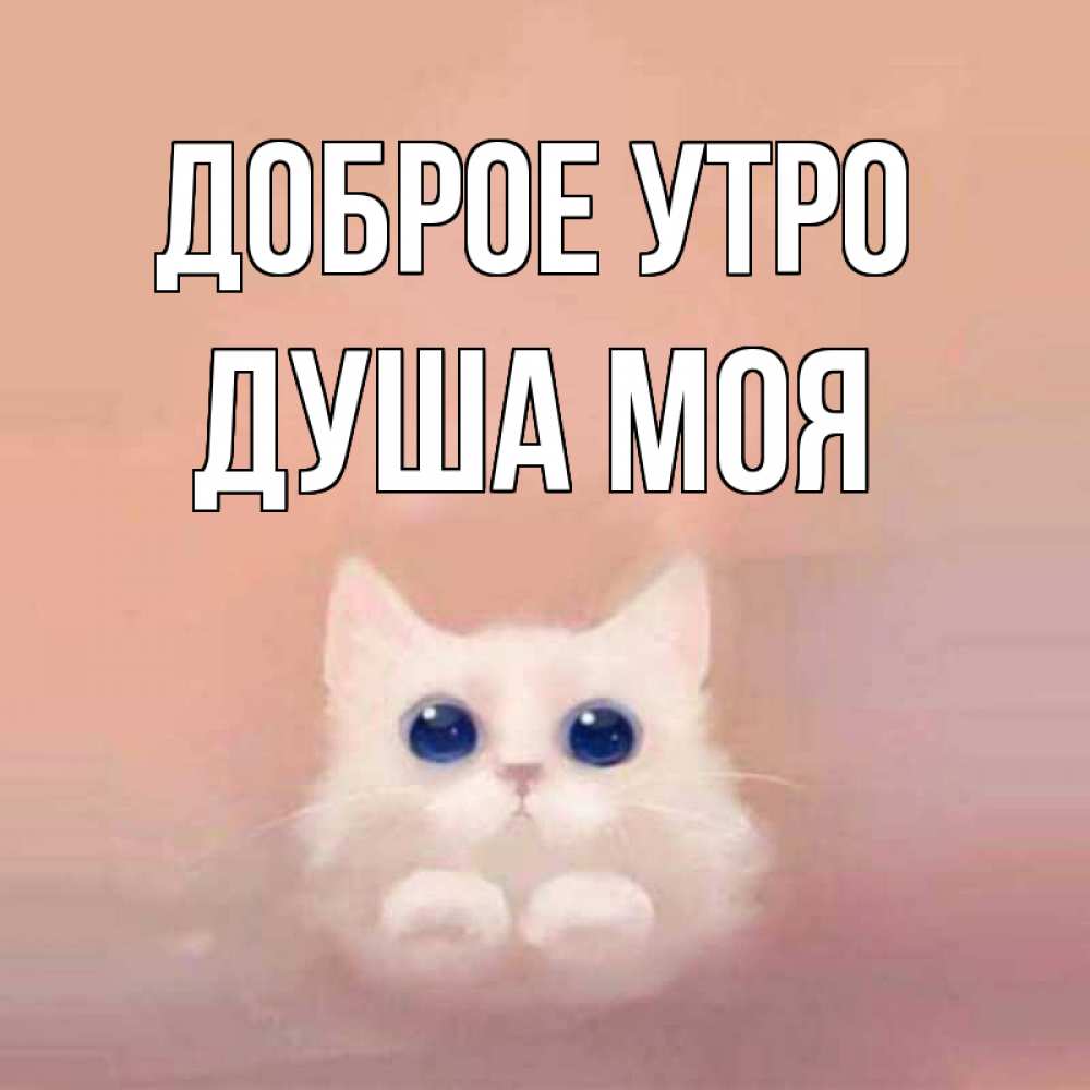 Открытка доброе утро душа моя