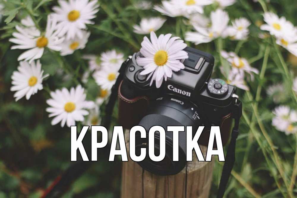 Открытка на каждый день с именем, красотка Главная с днем фотографа Прикольная открытка с пожеланием онлайн скачать бесплатно 